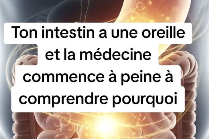 Ton intestin a une oreille 1