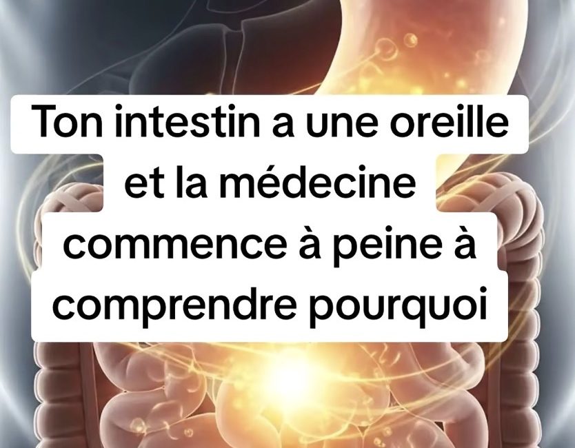 Ton intestin a une oreille 1