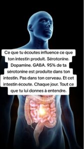 Ton intestin a une oreille 7